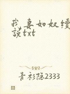 我妻如奴续写小说txt