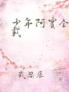 少年阿宾全集下载