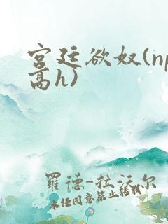 宫廷欲奴(np高h)