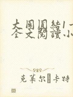 大团圆结1一6全文阅读小说