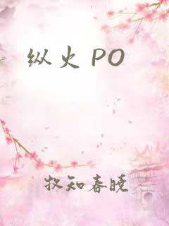 纵火 PO