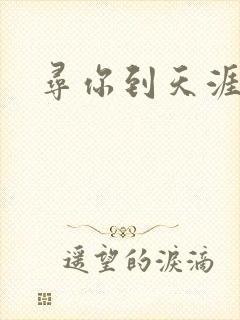 寻你到天涯