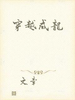 穿越成龙