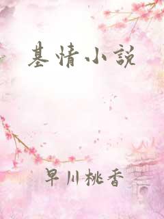 基情小说