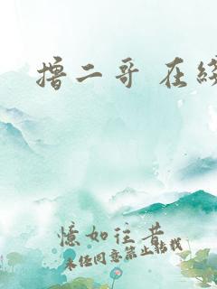 撸二哥 在线