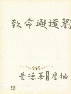 致命邂逅刘小寐