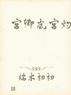 宫卿岚宫灼小说