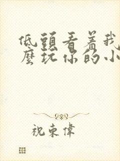 低头看着我是怎么玩你的小说