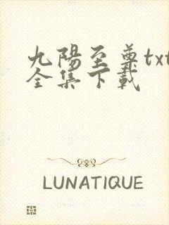 九阳至尊txt全集下载