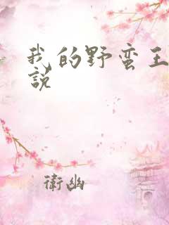 我的野蛮王妃小说