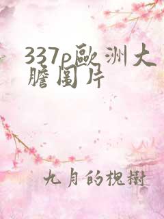 337p欧洲大胆图片