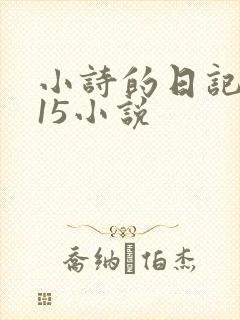 小诗的日记1一15小说