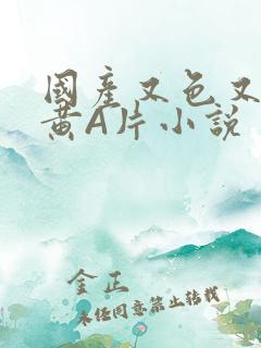 国产又色又爽又黄A片小说