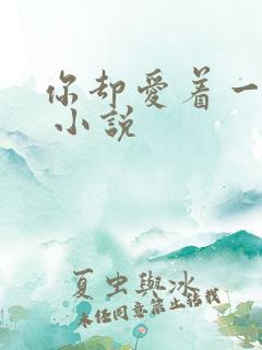 你却爱着一个他 小说