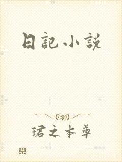 日记小说