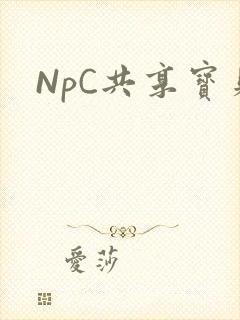 NpC共享宝贝