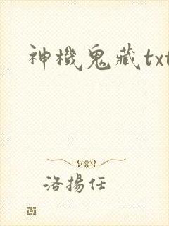 神机鬼藏txt