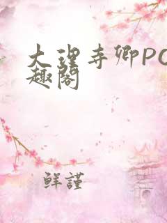 大理寺卿PO笔趣阁