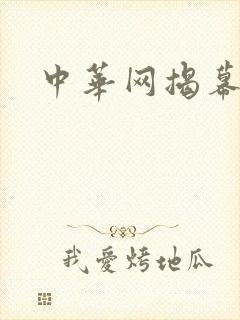 中华网揭幕内参