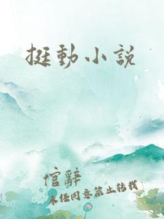 挺动小说