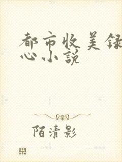 都市收美录宁素心小说