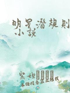 明星潜规则之皇 小说