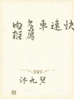 肉多车速快的书推荐