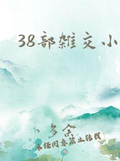 38部杂交小说