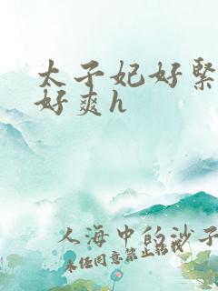 太子妃好紧皇上好爽h