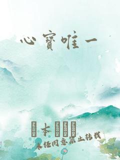 心宝唯一