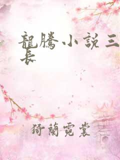 龙腾小说三宝局长