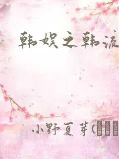 韩娱之韩流全球