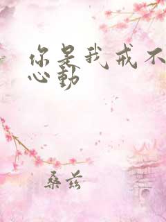 你是我戒不掉的心动