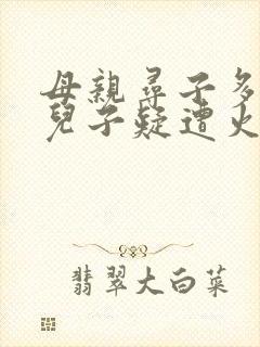 母亲寻子多年 儿子疑遭火车撞击身亡