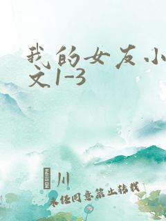 我的女友小洁全文1-3