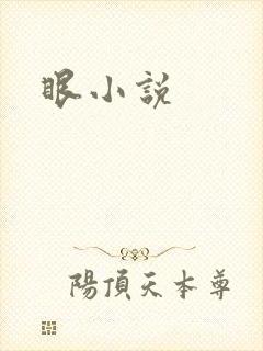 眼小说