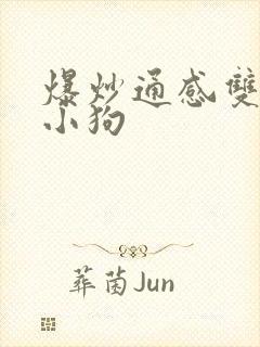 爆炒通感双胞胎小狗