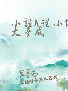 小说h从小做到大养成