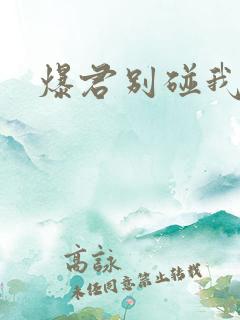 爆君别碰我