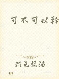 可不可以干湿你