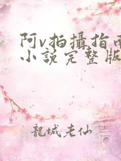 阿v拍摄指南说小说完整版