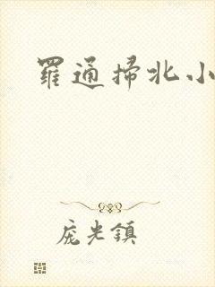 罗通扫北小说