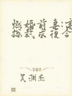 燃婚前妻:高冷总裁求复合