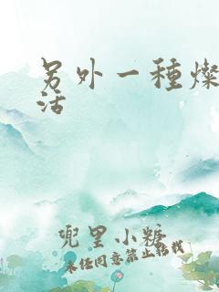 另外一种灿烂生活