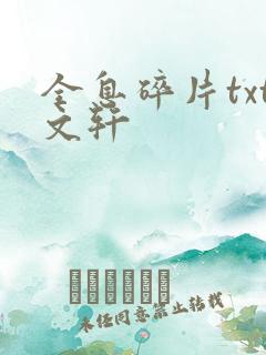 全息碎片txt文轩