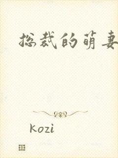 总裁的萌妻欢宝