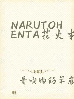 NARUTOHENTA花火本子