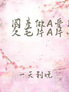 国产做A爱片久久毛片A片小说