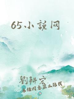 65小说网