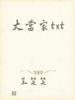 大当家txt